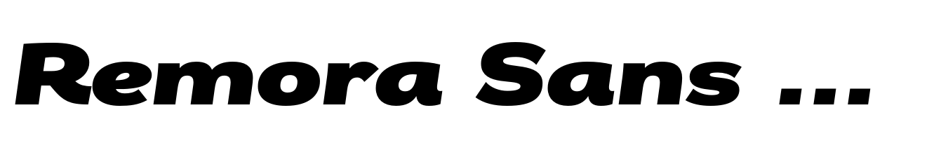 Remora Sans W5 Black Italic